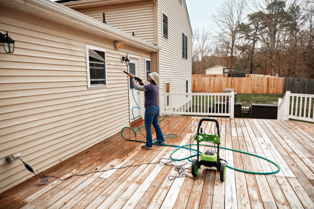Best Residential Pressure Washing Services  in Arlington, MN