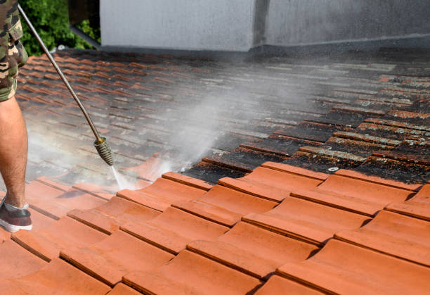 Best Residential Pressure Washing Services  in Arlington, MN