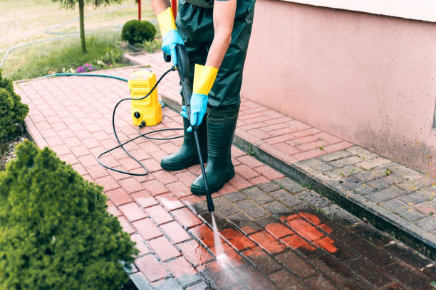 Best Fence Pressure Washing  in Arlington, MN