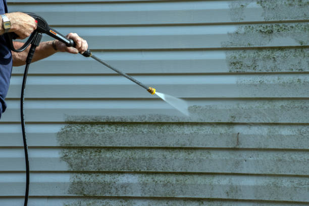 Professional Pressure Washing in Arlington, MN