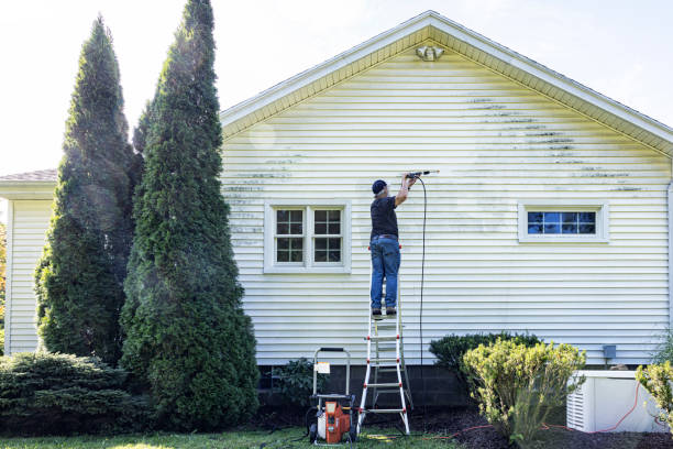 Best Commercial Building Pressure Washing  in Arlington, MN
