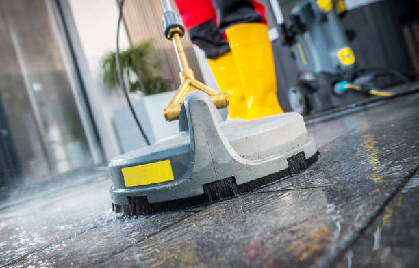 Best House Pressure Washing  in Arlington, MN