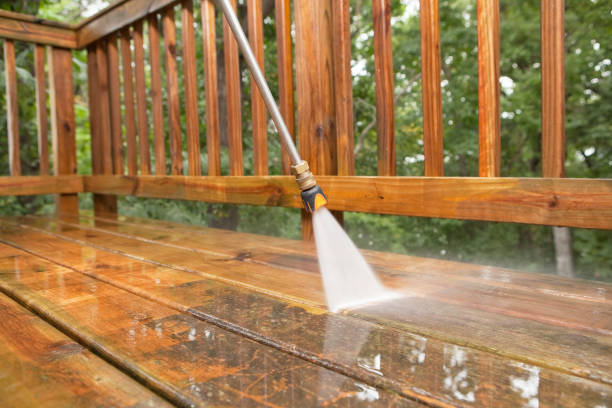 Best Commercial Building Pressure Washing  in Arlington, MN