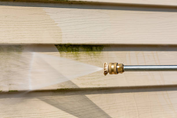 Best Best Pressure Washing Companies  in Arlington, MN