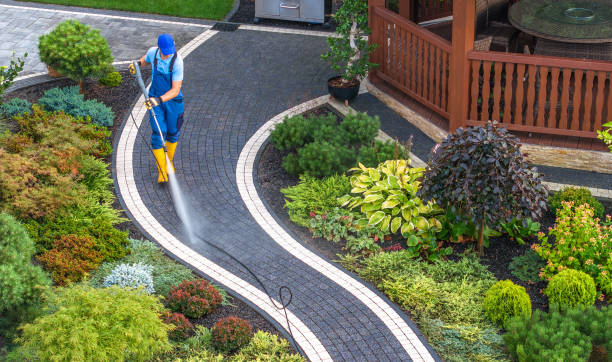 Best Commercial Building Pressure Washing  in Arlington, MN